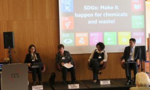 Olga Speranskaya speaking at the SDGs panel (Photo by Eugeniy Lobanov)