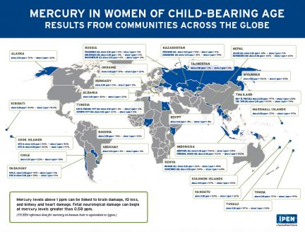 Estudio revela niveles peligrosos de mercurio en mujeres en edad fértil