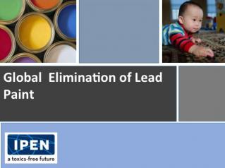 Global Lead Paint Elimination slide