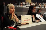 IPEN co-chairs, COP5 plenary
